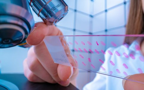 In Vivo research Labs Facility, In Vivo Facility Management