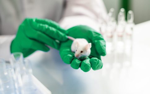 Laboratory Facility Management, Agenda Facility Management, In Vivo Facilities