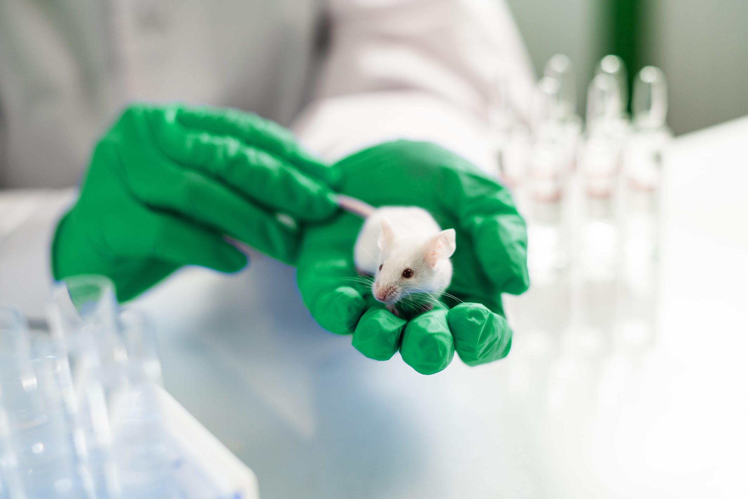 Laboratory Facility Management, Agenda Facility Management, In Vivo Facilities