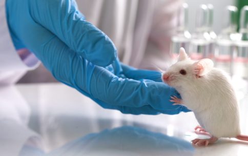 Empowering Discovery with The Agenda Research Catalyst ARC, Agenda Facility Management