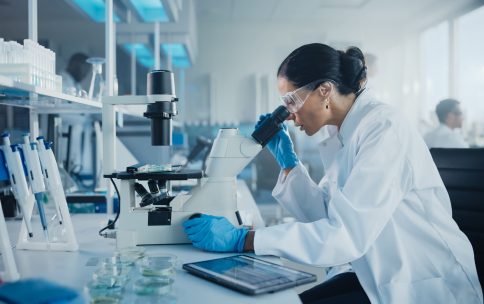 In-Vivo Facility Management, Agenda Facility Management