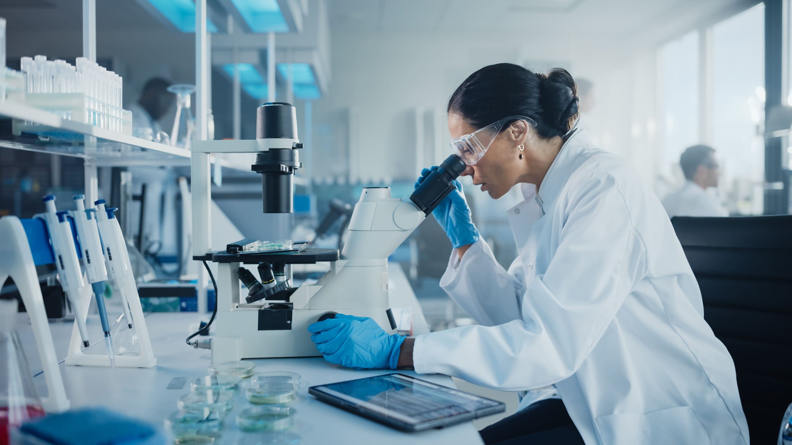 In-Vivo Facility Management, Agenda Facility Management