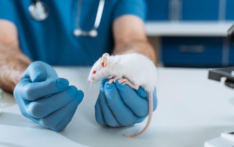 Exploring a Career in Animal Research, Agenda Life Sciences