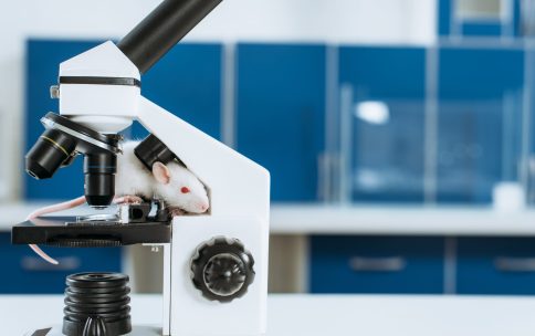 Careers in Animal Research: Making a Difference Through Research and Welfare, Agenda Life Sciences