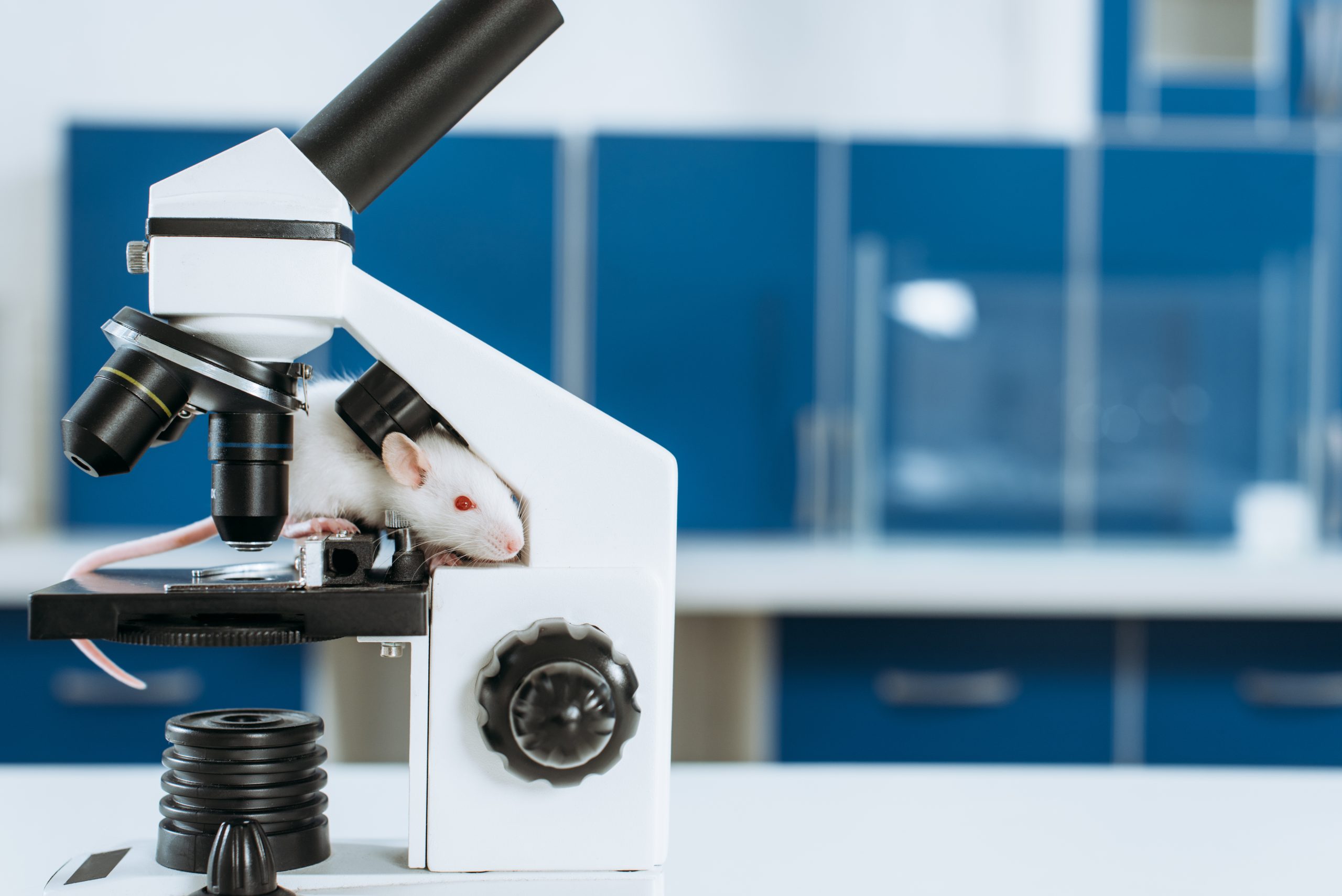 Careers in Animal Research: Making a Difference Through Research and Welfare, Agenda Life Sciences
