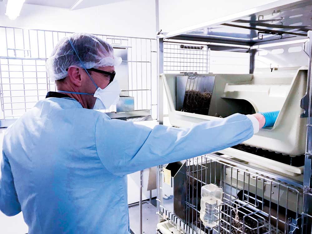 Lab Technician Part of Agenda Facility Management Partnership