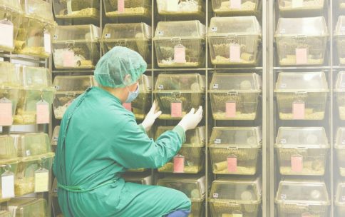 Outsourced Veterinary Provider, Agenda Life Sciences