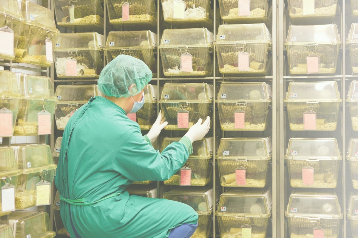 Outsourced Veterinary Provider, Agenda Life Sciences