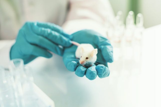 Animal Research Positions, Animal Research Jobs