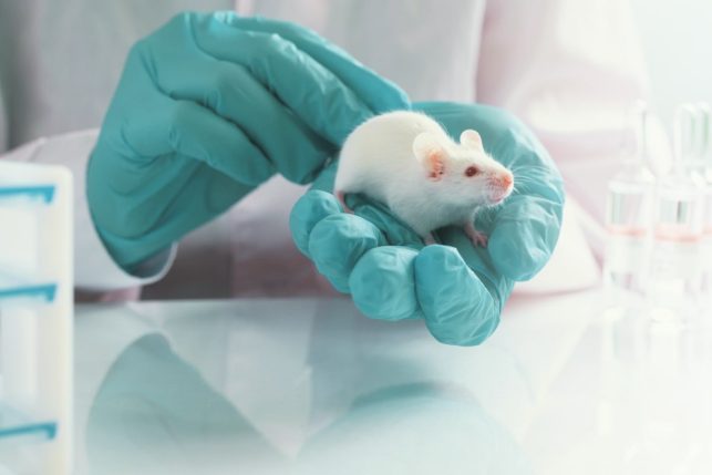 Animal Research Positions, Animal Research Jobs