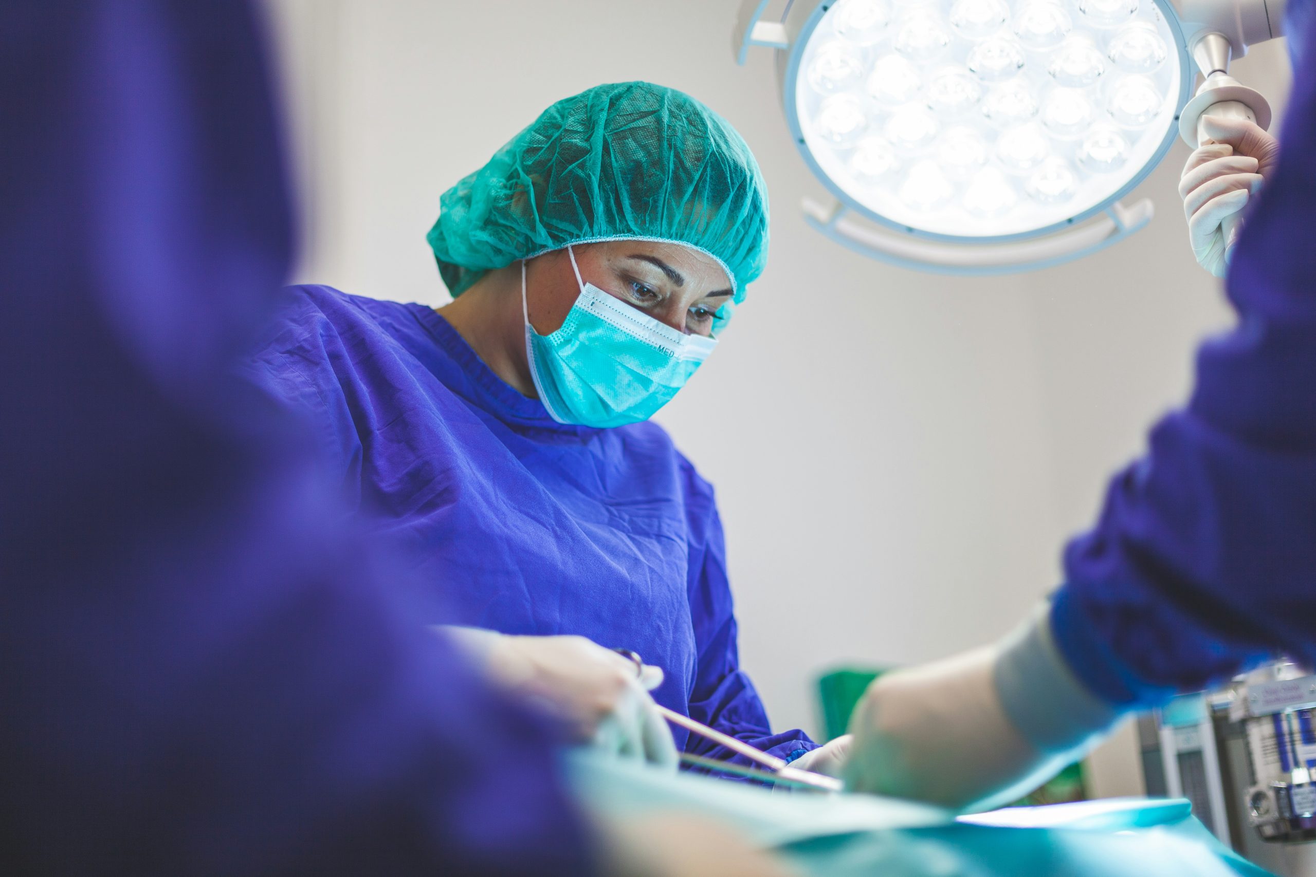 Regulatory Consultancy | Veterinary Consultancy | Agenda Facility Management